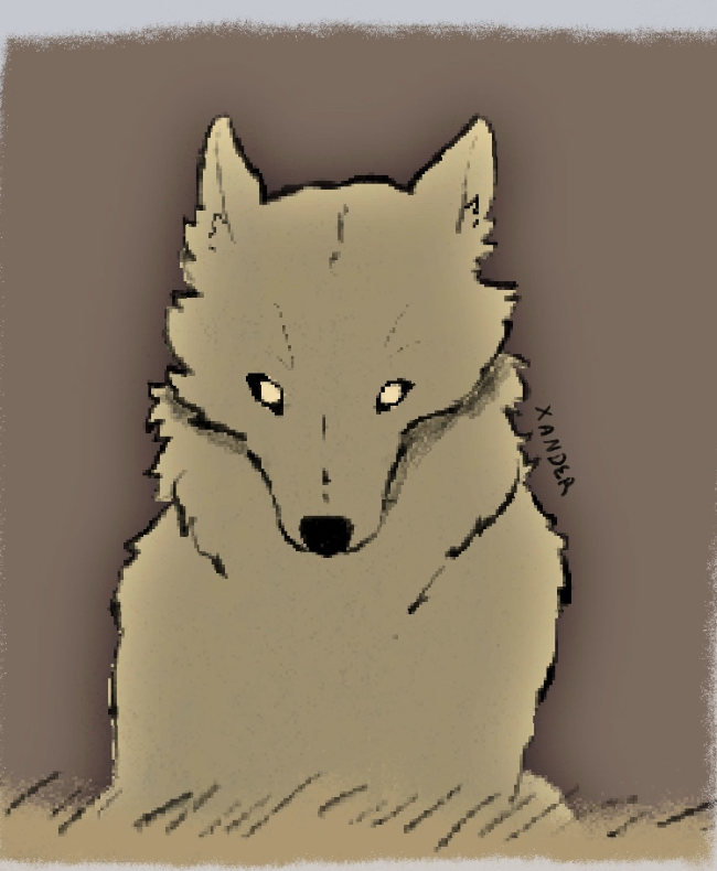 Portrait of Alexander as a wolf, drawn by Lily Ahmad-Davis