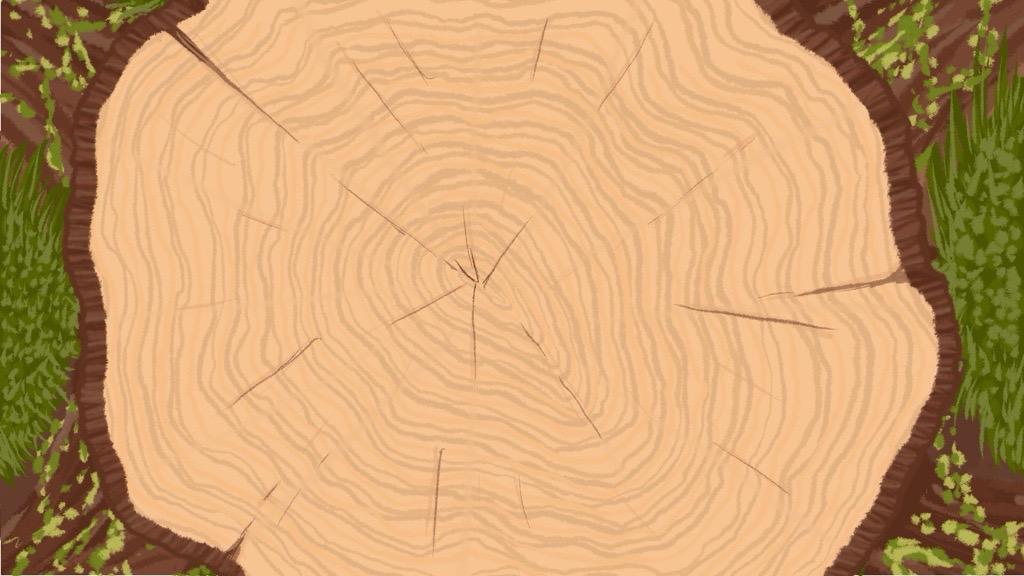 Wood slice background drawn in Procreate